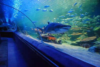 A glass tunnel with sharks swimming overhead inside Istanbul Aquarium